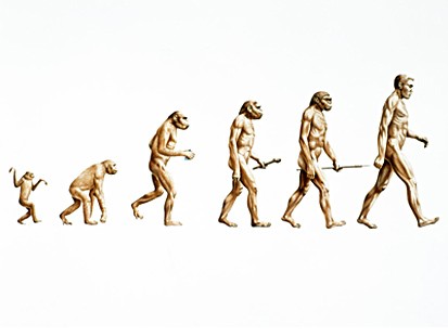 evolution1